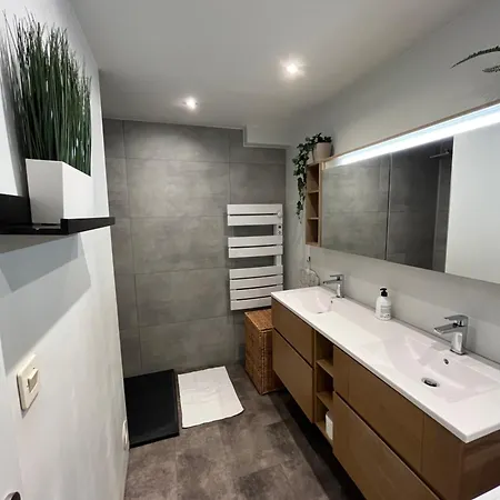 Apartment Le Central