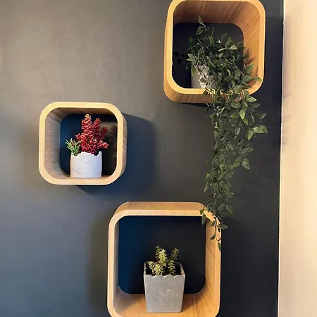 Apartment Le Central